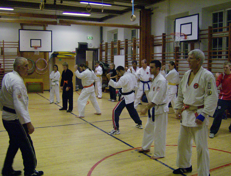 karate_traning_2008_004